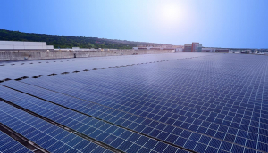 中美硅晶与YY易游m6米乐光电携手战略合作