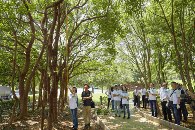 藝師教導大家認識樹木、檢查樹的健康狀況，學習修枝及碎枝覆土