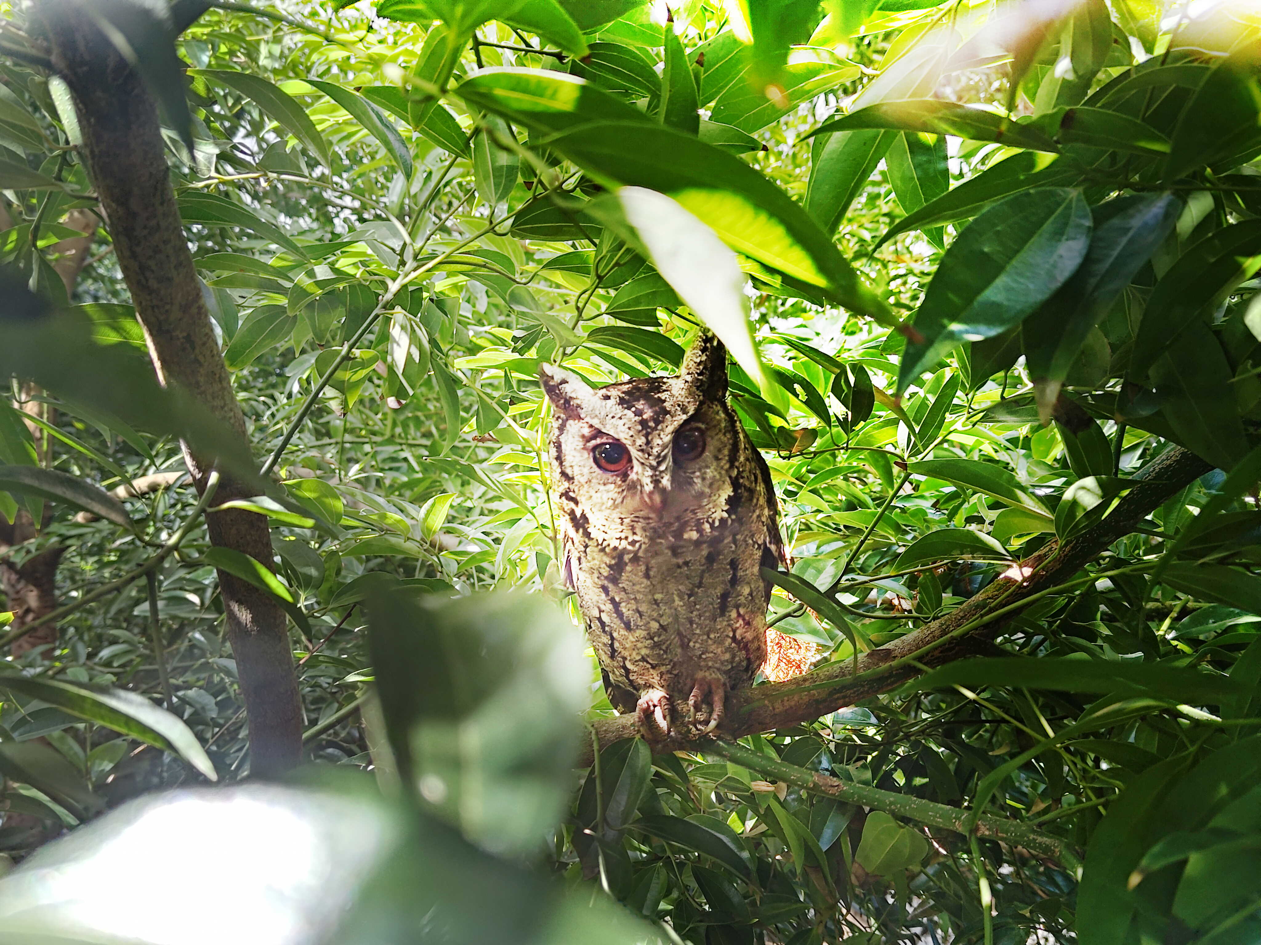 YY易游m6米乐致力提倡净零绿生活，16年以来在全球各厂区植树逾百万棵，造就各厂区树木蔚然成林，犹如森林工厂，成为许多生物的栖息地